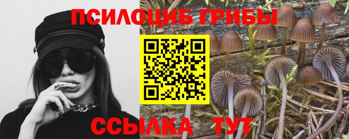 Черняховск  Галлюциногенные грибы ЛСД  Вход с VPN  Псилоцибиновые грибы Cubensis 